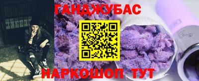 дмт Кингисепп