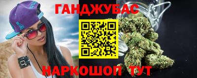 дмт Кингисепп