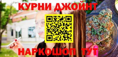 дмт Кингисепп