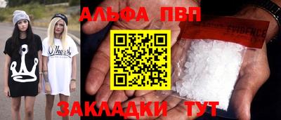 дмт Кингисепп
