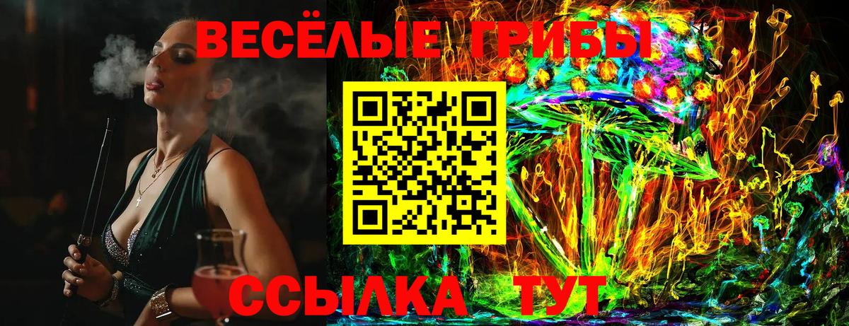 наркошоп  Галлюциногенные грибы GOLDEN TEACHER  Вход с VPN  Невинномысск  Галлюциногенные грибы ЛСД 